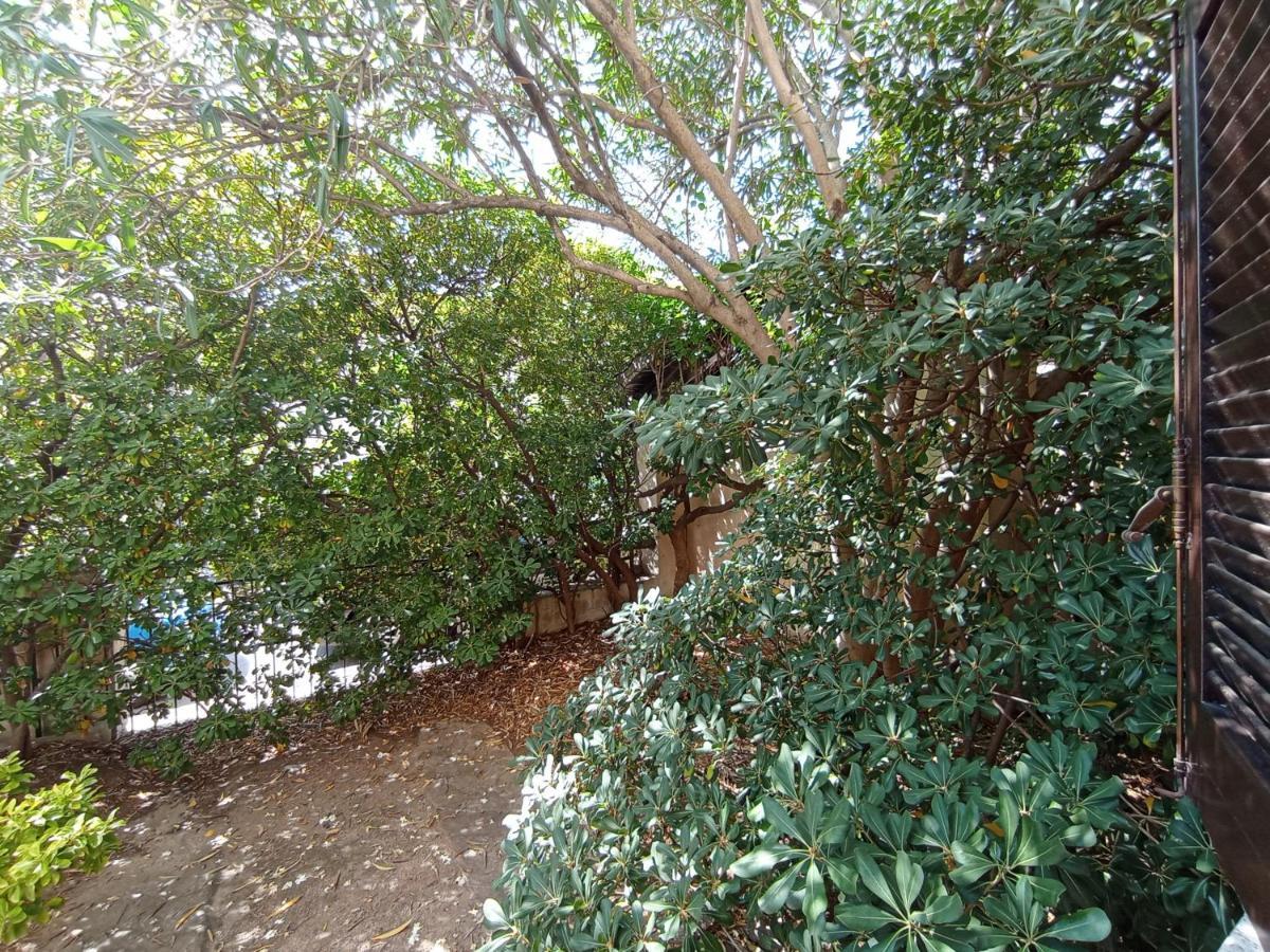 Domus Garden Bed & Breakfast Olbia Exterior photo