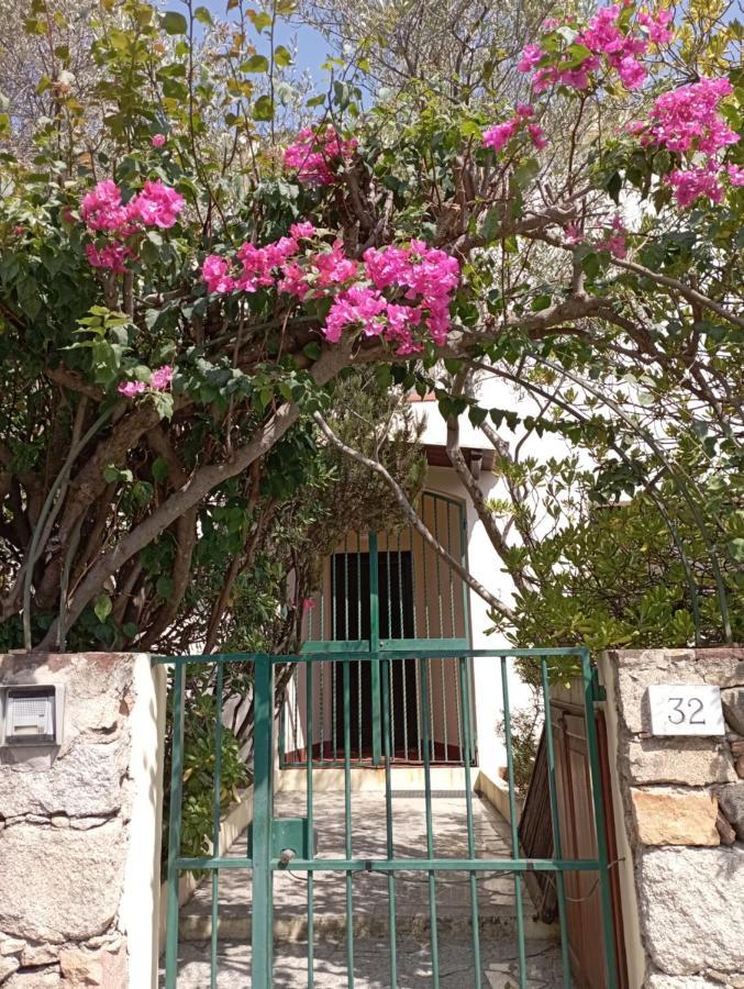 Domus Garden Bed & Breakfast Olbia Exterior photo
